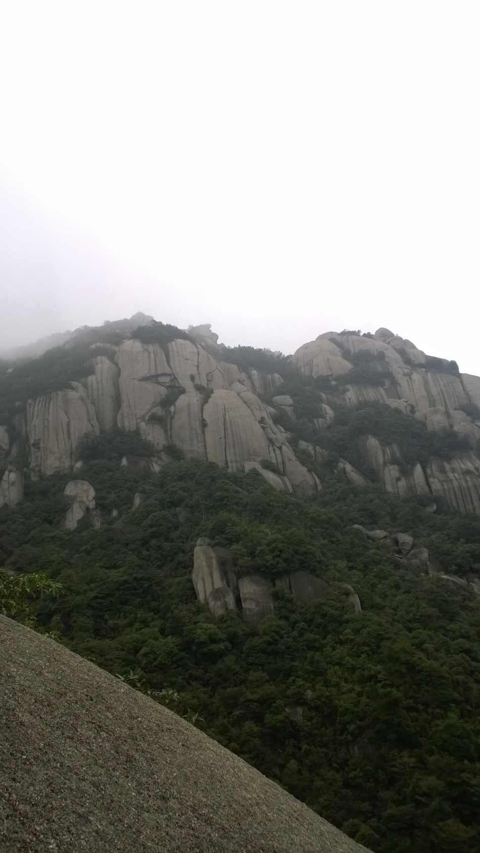 福鼎市人口有多少_山村腊酒浑浊图片