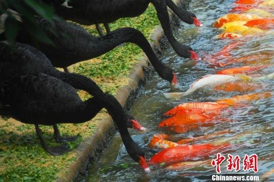 汉玮棋牌懒人麻将福州麻将