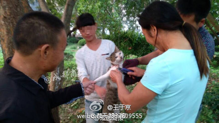 皇家马德里电影-乐鱼app(leyu)官方网站-乐鱼官网