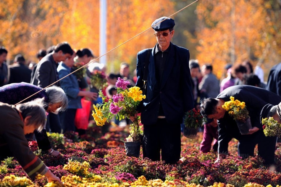 火箭 雷霆-乐鱼app(leyu)官方网站-乐鱼官网