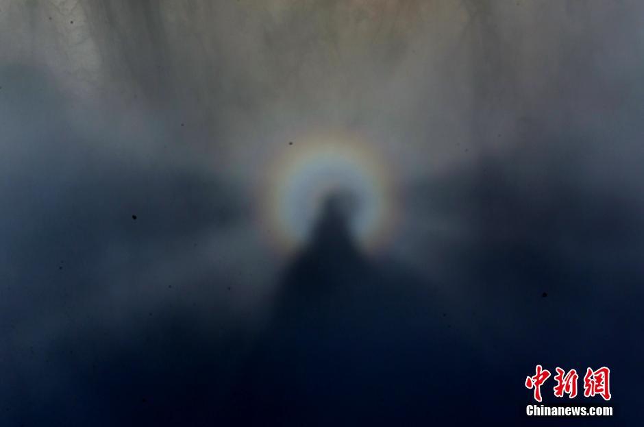 米联-乐鱼app(leyu)官方网站-乐鱼官网