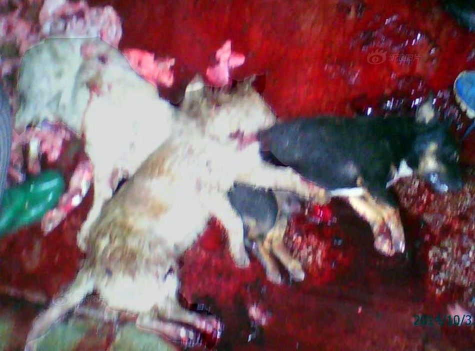 切尔西vs阿森纳直播