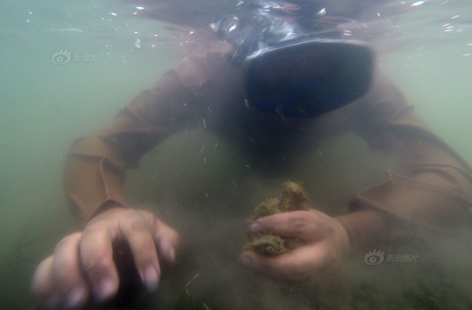 贝隆-乐鱼app(leyu)官方网站-乐鱼官网