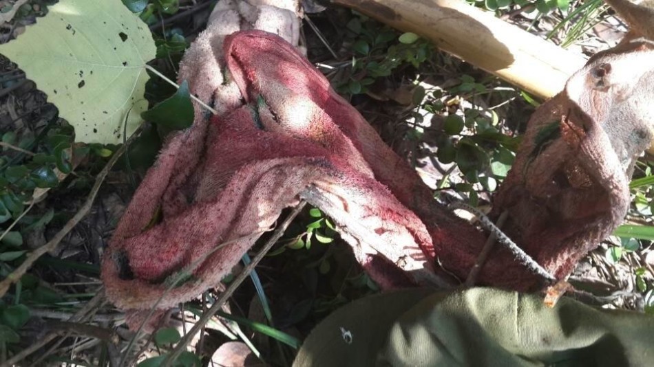 32岁的亨利-爱游戏APP（中国）官方网站下载_AIYOUXI体育