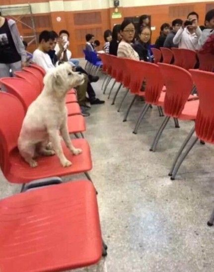 江苏舜天vs山东鲁能-乐鱼app(leyu)官方网站-乐鱼官网