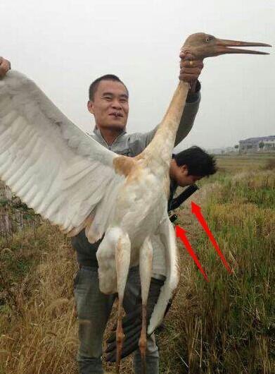 俄罗斯世界杯名单