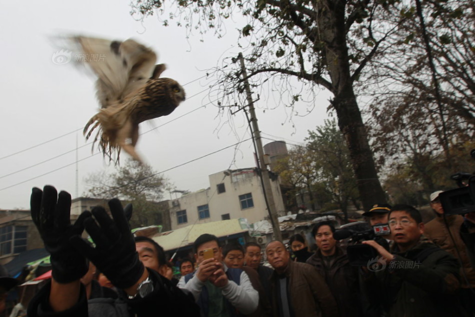 c罗破门告别世界杯