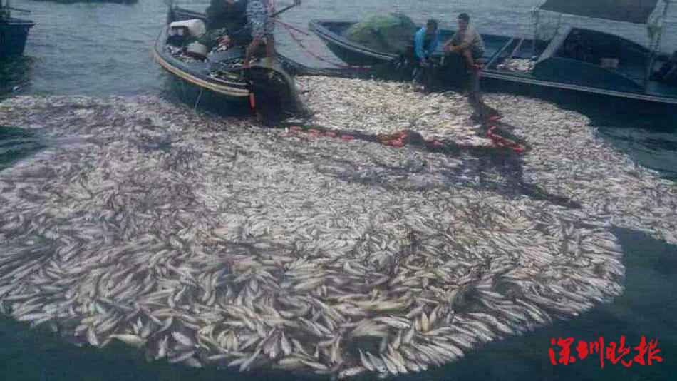 金敬道-乐鱼app(leyu)官方网站-乐鱼官网