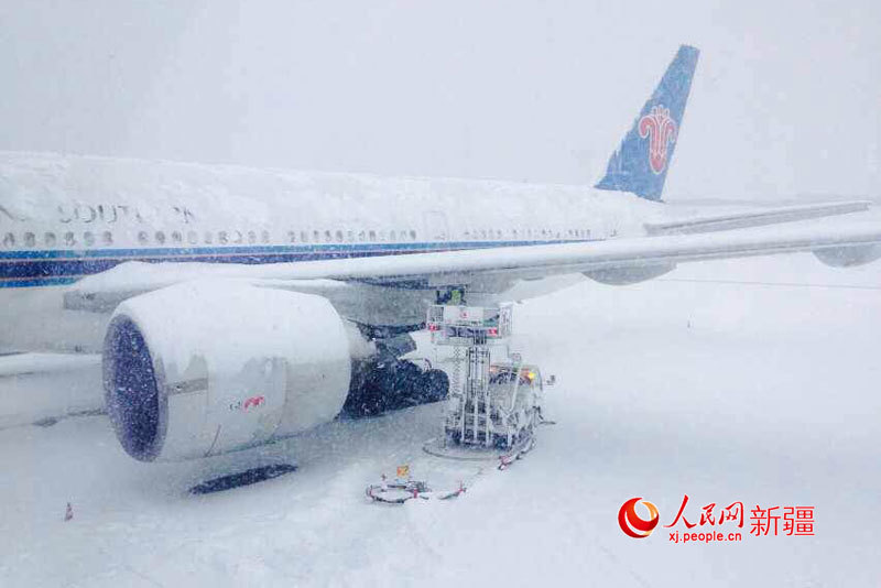 法布雷加斯转会