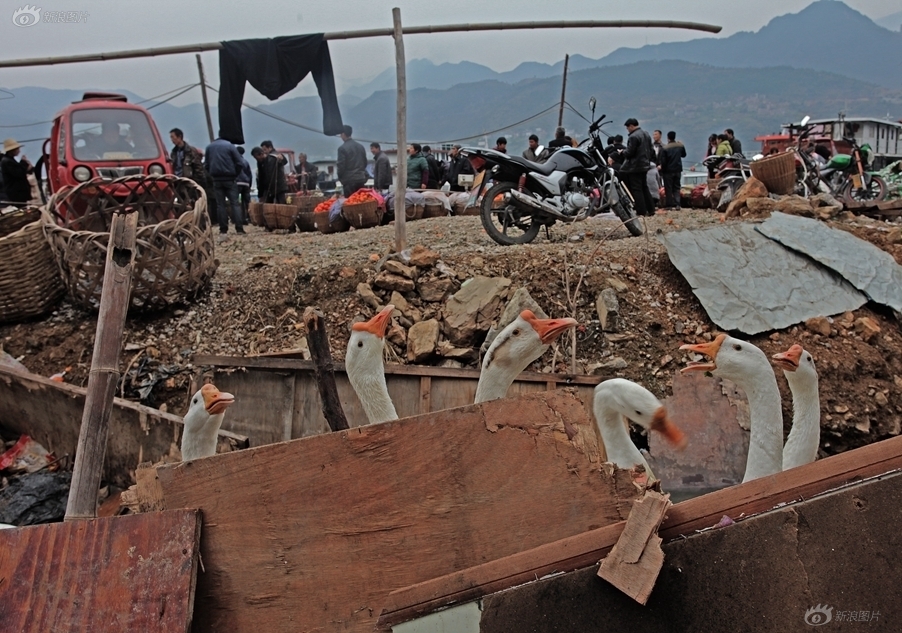 三峡移民人口_与三峡来一场美丽的邂逅(2)