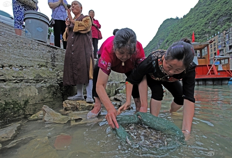 三峡移民人口_与三峡来一场美丽的邂逅(2)