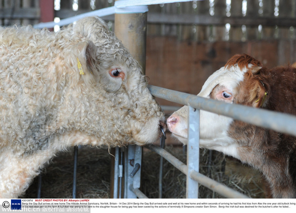 南方卫视tvs4直播-乐鱼app(leyu)官方网站-乐鱼官网