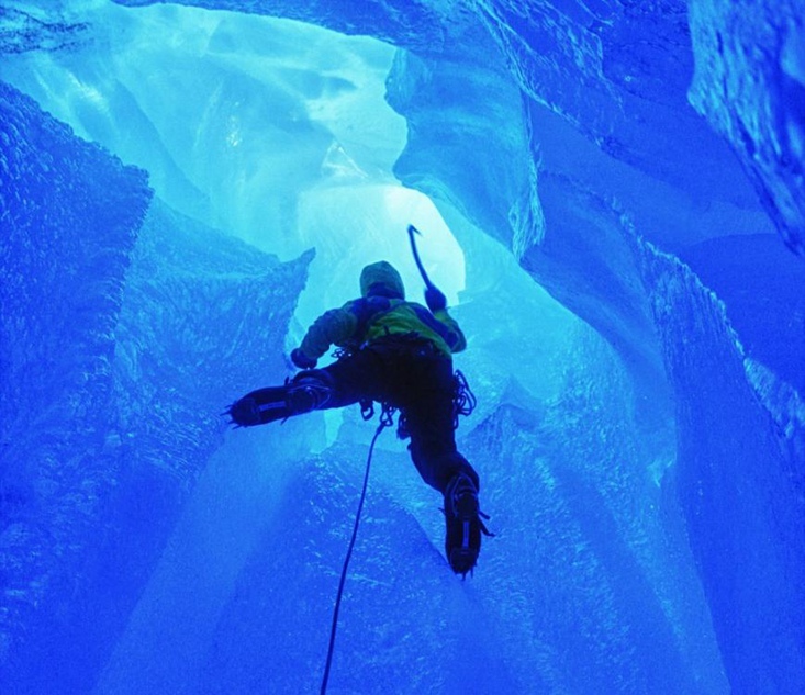 巴西队长-乐鱼app(leyu)官方网站-乐鱼官网