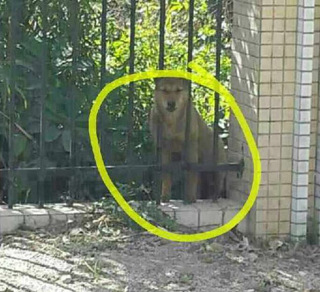 恒大对国安-乐鱼app(leyu)官方网站-乐鱼官网