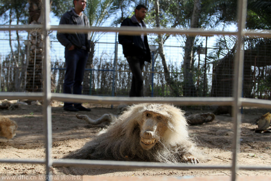 山东鲁能vs广州恒大-万博体育(官网)官方网站-万博体育app官网下载-ManBetX