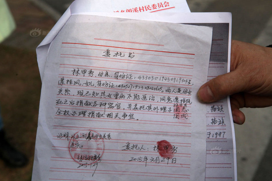 车祸后 工资收入证明 新浪网