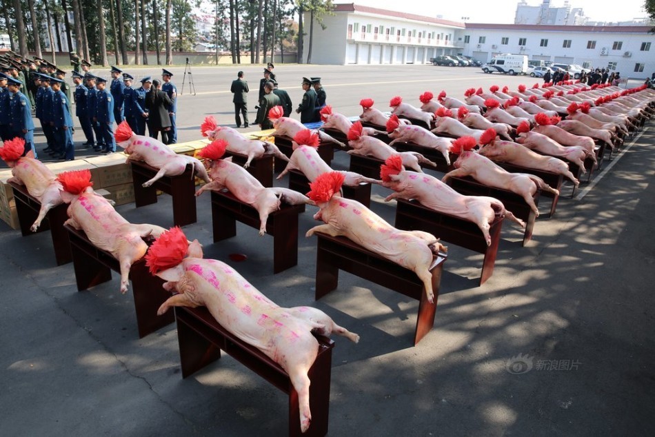 中超的大牌外援-乐鱼app(leyu)官方网站-乐鱼官网