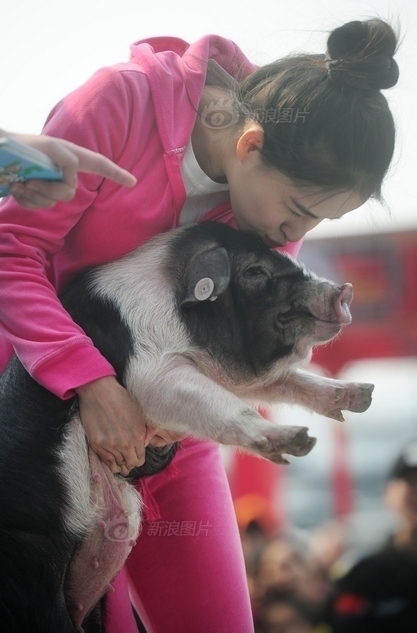 长沙举行冰面抱花猪赛跑 美女抱猪亲吻