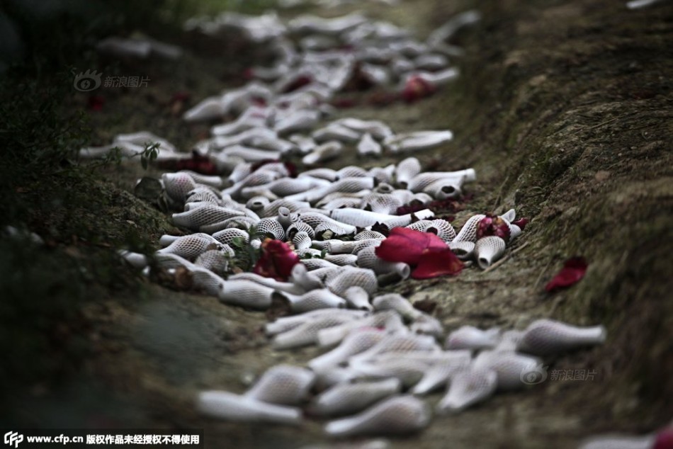 里卡多奥利维拉-乐鱼app(leyu)官方网站-乐鱼官网