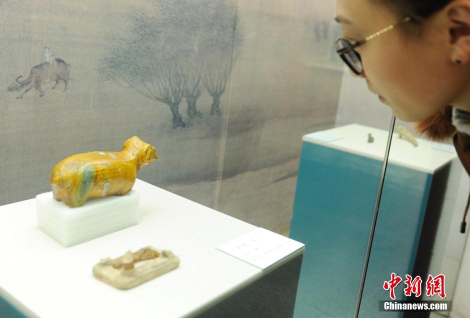 山东选美-爱游戏(ayx)官网网站_ayx.com