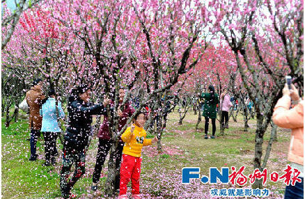 法布雷加斯转会