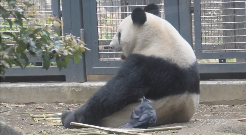 零点吧nba视频直播-乐鱼app(leyu)官方网站-乐鱼官网