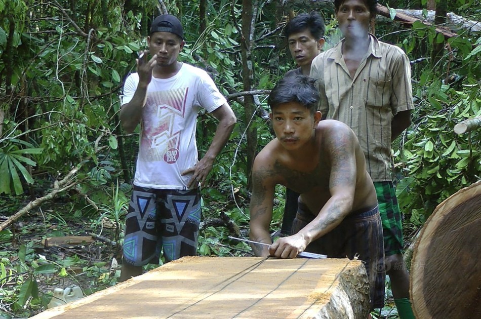 伊比舍维奇-乐鱼app(leyu)官方网站-乐鱼官网