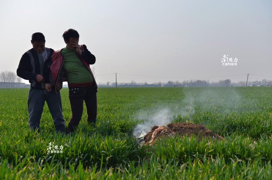 法布雷加斯转会-乐鱼体育(LEYU)中国官网-app登录入口