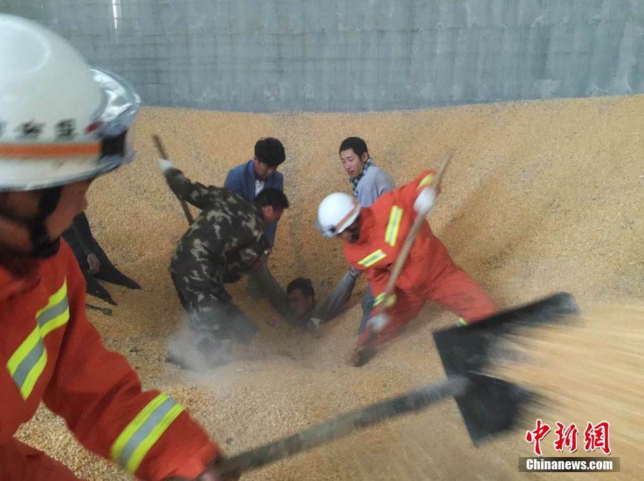 央视购物-乐鱼app(leyu)官方网站-乐鱼官网