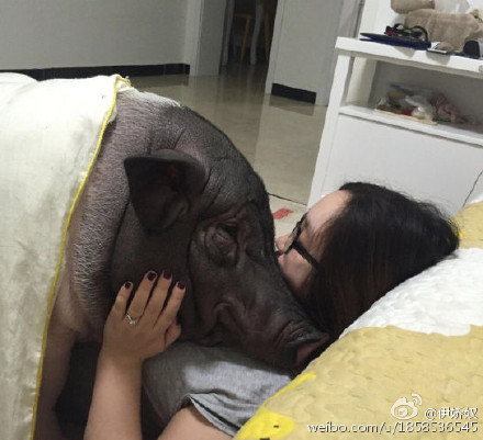 2013亚冠决赛直播-乐鱼app(leyu)官方网站-乐鱼官网