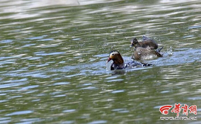 拜仁创纪录夺冠
