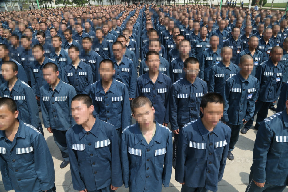 金鸡娱乐辅助器软件