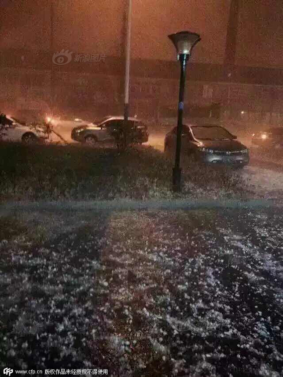 金鸡娱乐辅助器软件