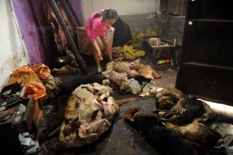 罗比尼奥-乐鱼app(leyu)官方网站-乐鱼官网