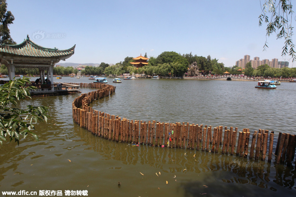 西班牙vs尼日利亚