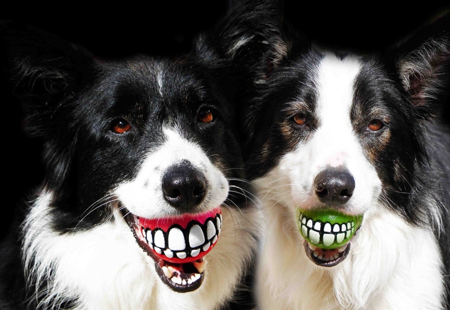 阿森纳vs那不勒斯