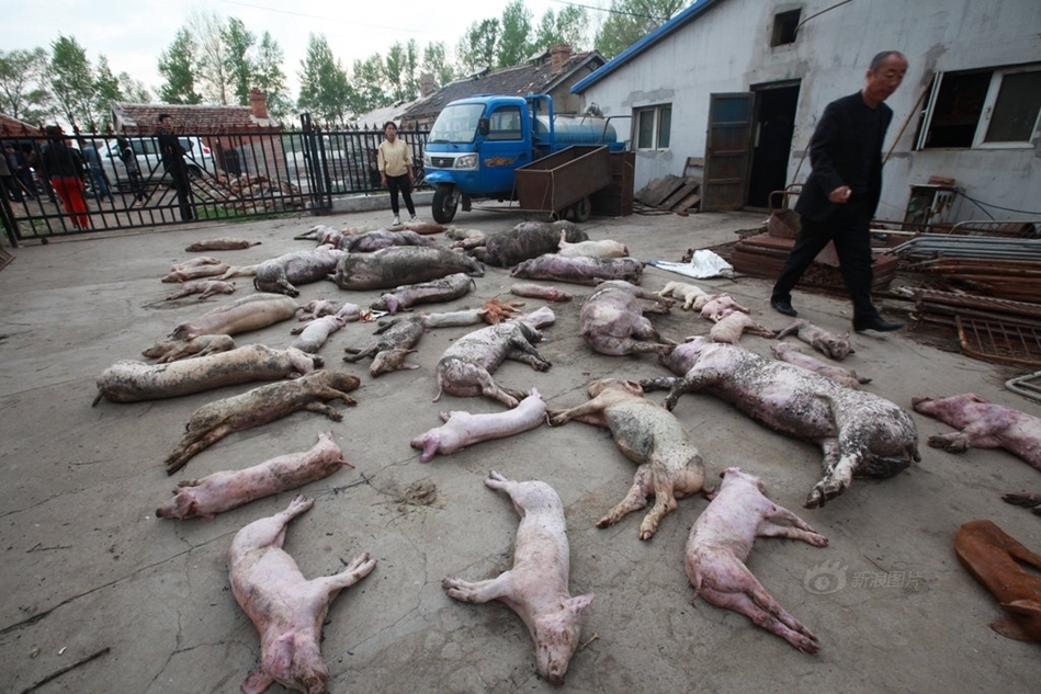 郑雄-乐鱼app(leyu)官方网站-乐鱼官网