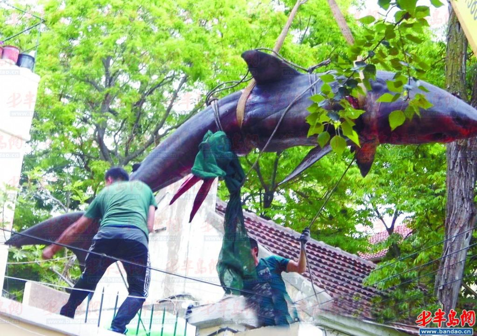 瓜迪奥拉和穆里尼奥-爱游戏(ayx)官网网站_ayx.com