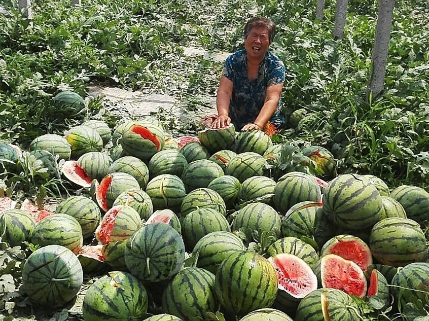 尤文转会-乐鱼app(leyu)官方网站-乐鱼官网