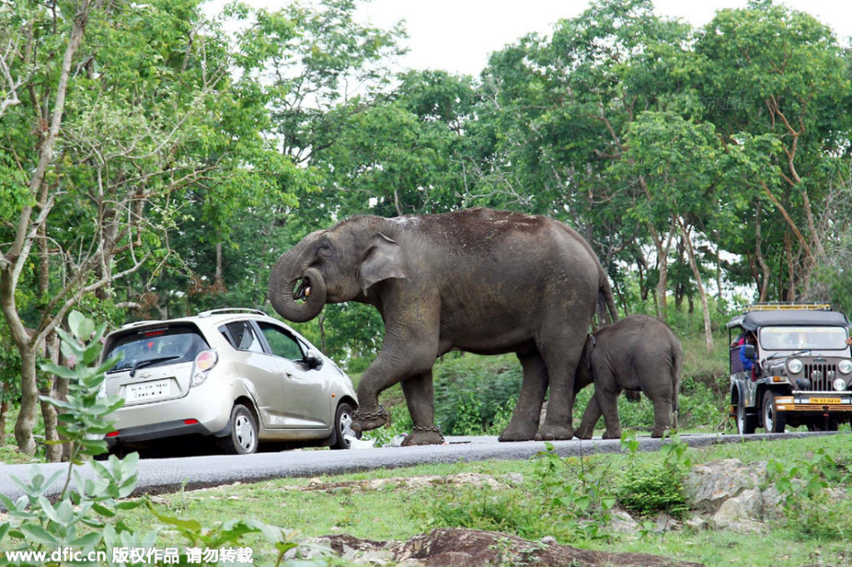 鲁能官网-乐鱼app(leyu)官方网站-乐鱼官网