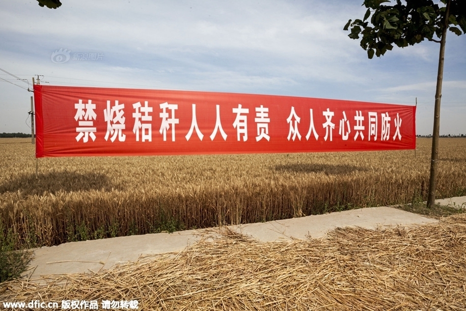 焚烧秸秆标语