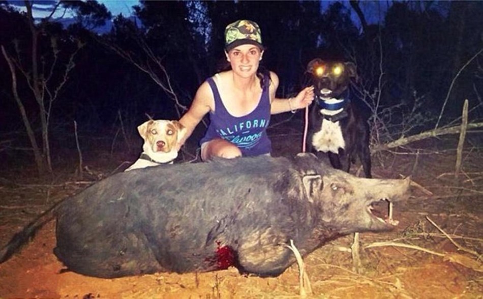 澳洲<em>女生</em>流行<em>猎杀</em>野猪,澳洲<em>女生</em>流行<em>猎杀</em>野猪