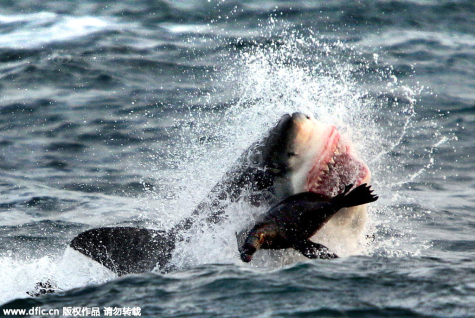 u21-乐鱼app(leyu)官方网站-乐鱼官网