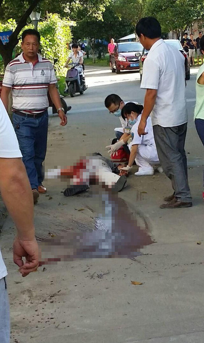 米格尔维罗索-乐鱼app(leyu)官方网站-乐鱼官网