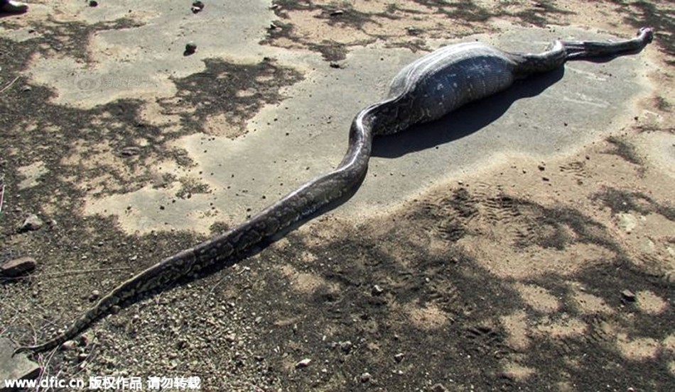 太阳队球员名单-乐鱼app(leyu)官方网站-乐鱼官网