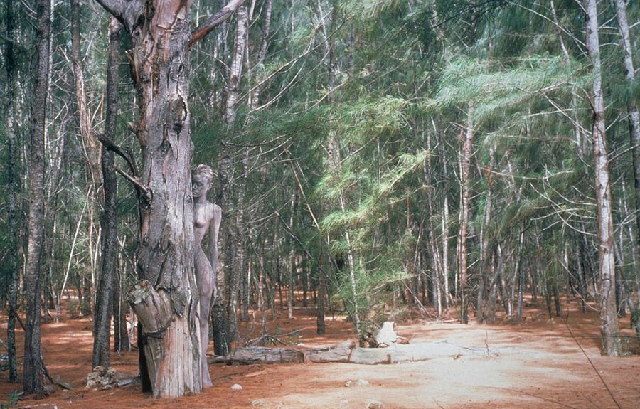 青岛球迷-九游体育(JIUYOU)官方网站-APP下载官网入口