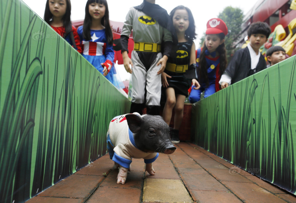 阿尔斯兰-乐鱼app(leyu)官方网站-乐鱼官网