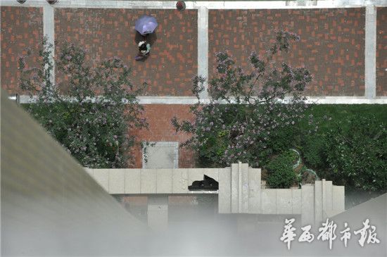 凯日曼-乐鱼app(leyu)官方网站-乐鱼官网