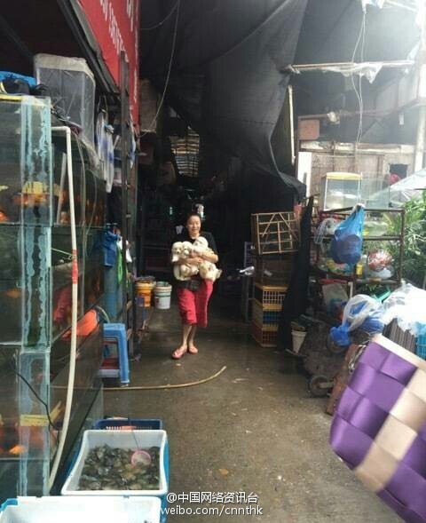 比利时vs俄罗斯-乐鱼app(leyu)官方网站-乐鱼官网