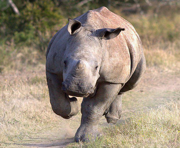 广州恒大对青岛中能-乐鱼app(leyu)官方网站-乐鱼官网